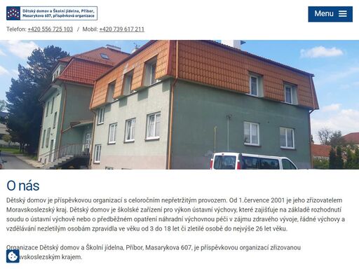 dětský domov poskytuje náhradní výchovnou péči dětem a mladým dospělým od 3 do 18, výjimečně až do 26 let, na základě rozhodnutí soudu o výchově.