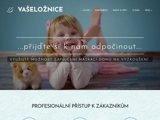 profesionální přístup k zákazníkům