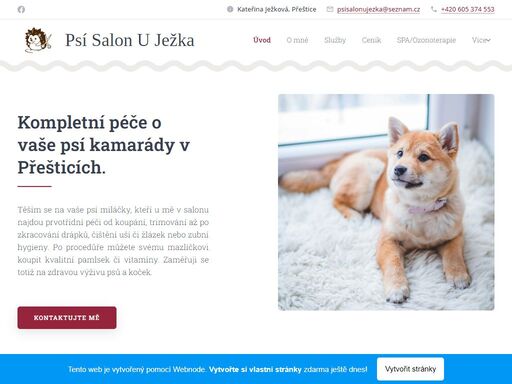 kompletní péče o vaše psí kamarády v přešticích.