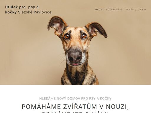 hledáme nový domov pro psy a kočky