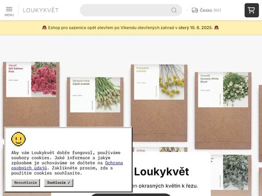 jsme květinová farma loukykvět. kousek za prahou pěstujeme květiny. druhy, na které se zapomnělo, typy, které se nedostaly do květinářství. kytice u nás začíná semínkem.
