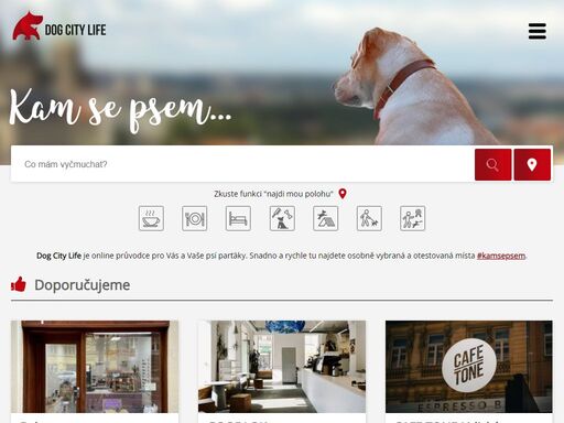 hledáte dog friendly místa v praze i mimo ni? objevte námi otestované kavárny, restaurace, hotely, kde budete s vaším psem vždy vítaní.
