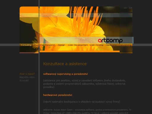 artcomp,s.r.o. - vše pro internet - webové stránky, webhosting, e-mail, návštěvnost, zakázkový software - analýzy, asistence, supervize, pomoc při výběrovém řízení na dodavatele software, vývoj, vlastní software - letecké kargo, dealerský systém, manažerský systém, hardware - počítače, tiskárny, scannery, servery, návrh a realizace počítačových sítí