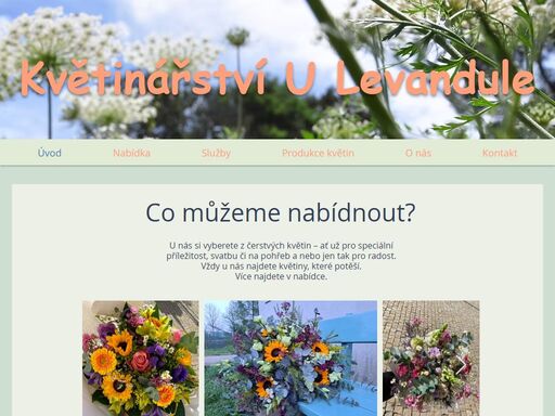 www.ulevandule.cz