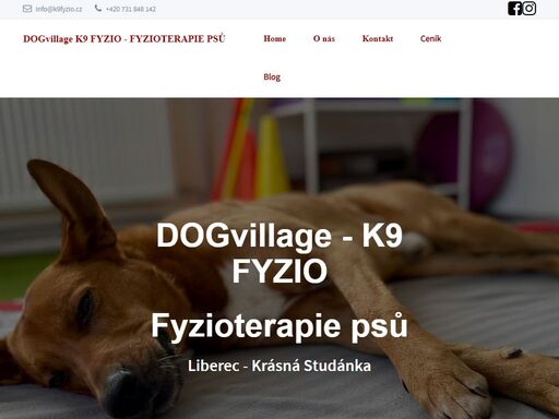 komplexní fyzioterapie psů v liberci - krásné studánce