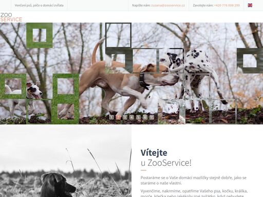 venčení psů o dovolené, hlídání psů, hlídání koček, krmení domácích mazlíčků, zajištění návštěvy veterináře, psí hotel, kočičí hotel