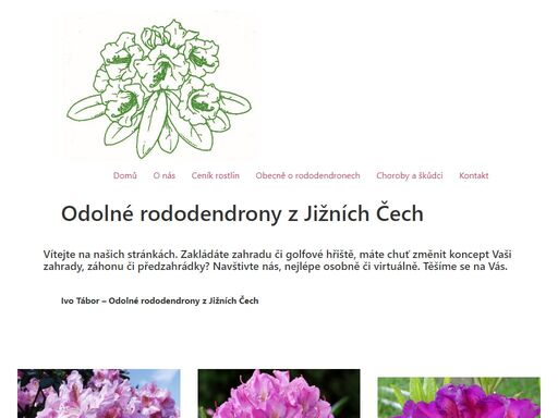 rhododendron.cz