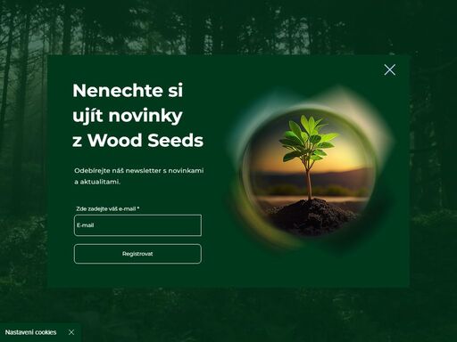 wood seeds s.r.o. |  investujte s námi prostřednictvím  dluhopisů, investování a hospodaření v lesích a na lesních pozemcích, těžba a zpracování dubového a bukového dřeva, vlastní lesy a  lesní pozemky
