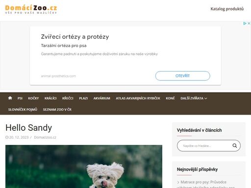 www.hellosandy.cz