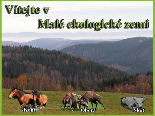 www.malaekologickazeme.cz