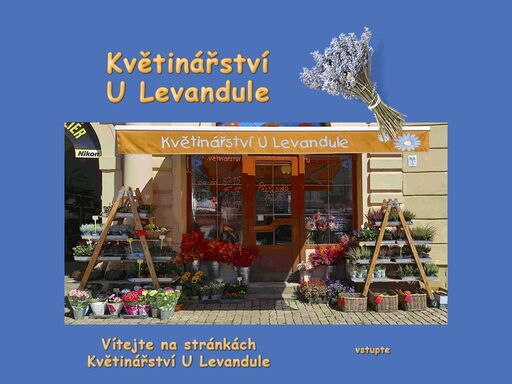 www.ulevandule.cz
