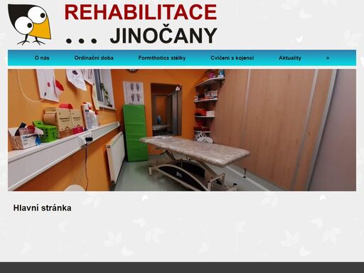 rehabilitace-jinocany.cz