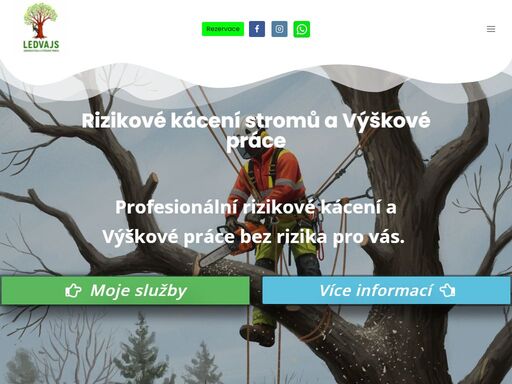 profesionální rizikové kácení stromů a výškové práce bez rizika pro vás.
