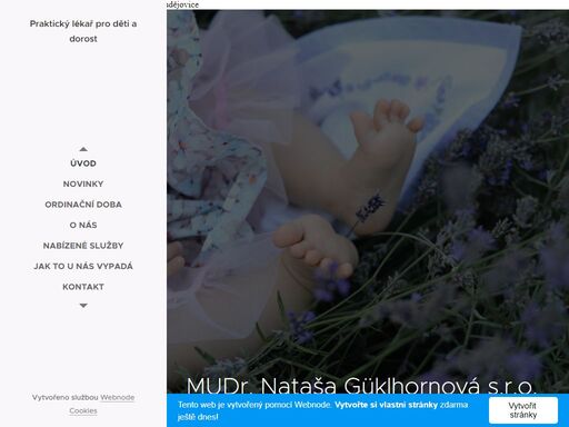 mudr. nataša guklhornová, dětský lékař, č. budějovice