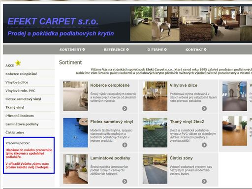 hotelové, zátěžové a bytové koberce, pvc, linoleum, vinylové podlahy, odborná pokládka, možnost vlastního potisku koberců. 