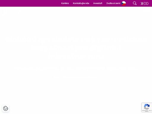 exclusive networks je důvěryhodným globálním distributorem produktů kybernetické bezpečnosti pro digitální infrastrukturu. asistujeme při přechodu k plně důvěryhodné digitální budoucnosti pro všechny lidi a organizace.