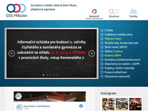 maturitní čtyřleté/osmileté gymnázium a učební obory kuchař - číšník, cukrář, strojní mechanik, strojírenské, zednické práce, pečovatelské, stravovací a ubytovací služby.