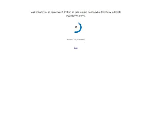 www.vesuvius.com
