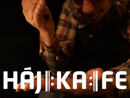 www.hajkafe.cz
