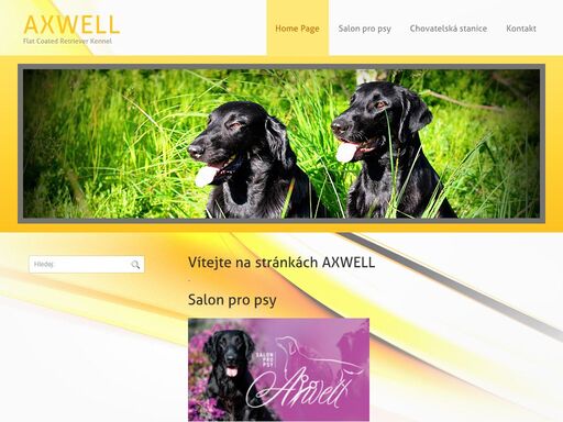 axwell.eu