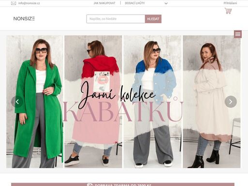 ochrana přístupu, nonsize.cz