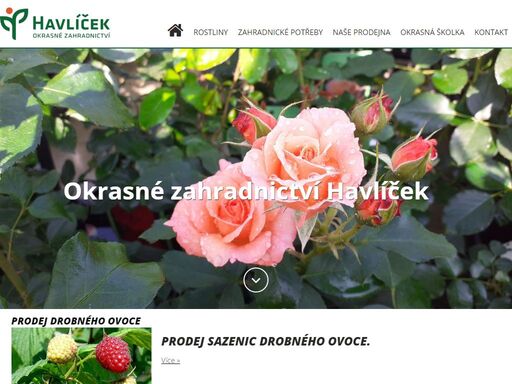 v našem zahradním centru v obci srch nedaleko pardubic nabízíme široký sortiment okrasných rostlin. většina rostlin z vlastní produkce.