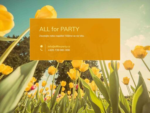 all for party