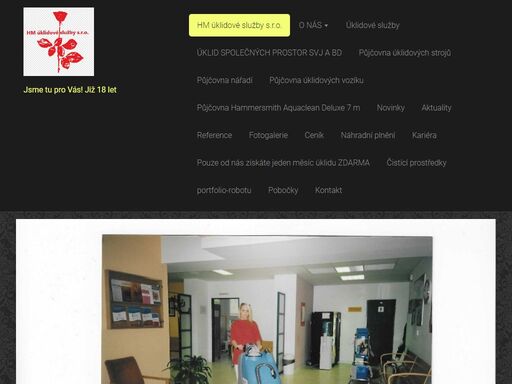 - úklidové služby

- správa a údržba nemovitostí

- realitní činnost

- dodávková autodoprava

- skladování

- balení zboží

- stěhovací služby