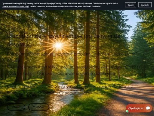 psychoterapie v horním slavkově – psychodynamická a kbt terapie pro ženy i muže. snadno dostupná z karlových varů, sokolova, chodova i online.