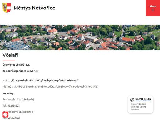 netvořice leží v severozápadní části okrese benešov. rozkládají se v kotlině netvořické vrchoviny, náležející do středočeské pahorkatiny.