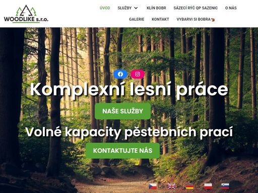 naše firma woodlike s.r.o. se věnuje poskytování komplexních lesnických služeb naším hlavním oborem jsou pěstební práce i těžební práce.