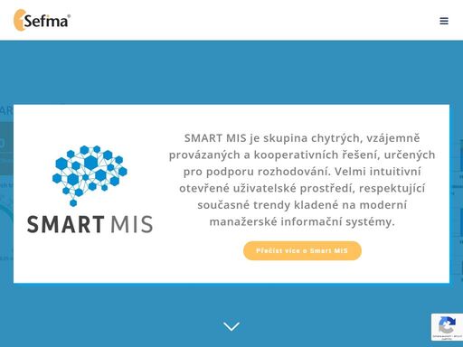 vývoj, implementace a dlouhodobá údržba software, poradenství v různých oblastech manažerského rozhodování a zefektivnění firemních procesů. cashflow management