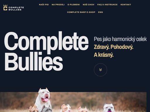 rodinná chovatelská stanice american bully xl complete bullies odchovávající exkluzivní společníky a nejlepší rodinné psy. všichni naši psi jsou zdravotně testovaní výstavní vítězové, žijící v těch nelepších podmínkách jako milovaní členové naší rodiny. 
