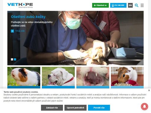 vethope je veterinární klinika na praze 4 zaměřená na prevenci a léčbu malých domácích zvířat. moderně vybavená veterina, příjemný personál, kompletní služby.