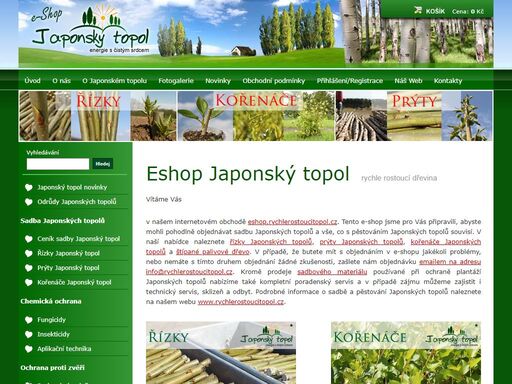 japonský topol kompletní nabídka sadby, zajištění výsadby plantáže, japonský topol sklizeň dřevní štěpky (biomasa)