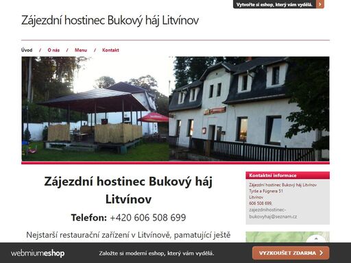 bukovyhajlitvinov.webmium.com