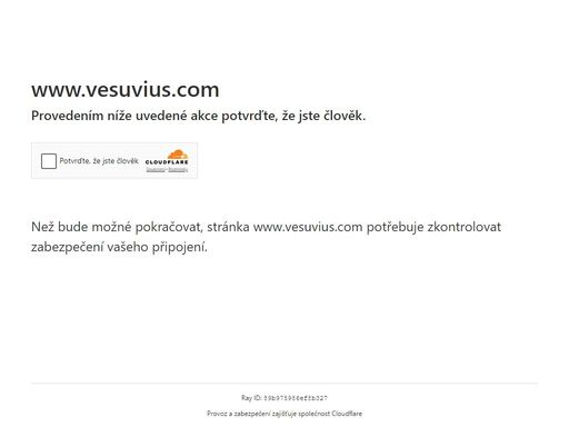 vesuvius.com