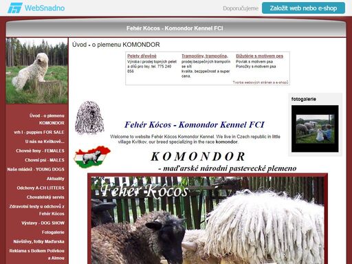 komondor - chovatelská stanice zabývající se chovem  maďarského národního plemene, odvážného bílého psa s dredy, komondora