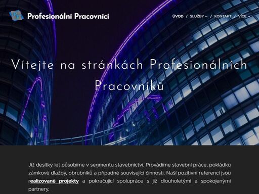 profesionalnipracovnici.cz
