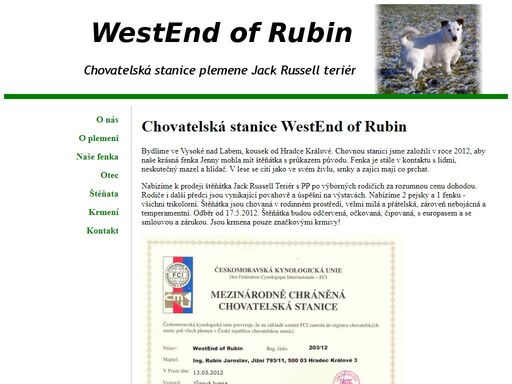 westend of rubin's - chovatelská stanice plemene jack russell teriér.