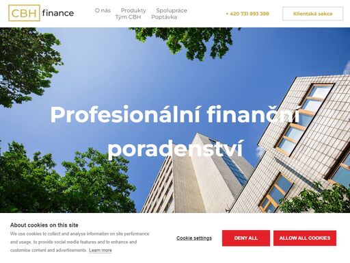 profesionální finanční poradenství