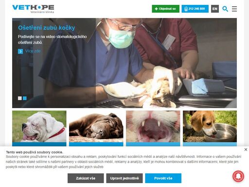 vethope je veterinární klinika na praze 4 zaměřená na prevenci a léčbu malých domácích zvířat. špičkově vybavená veterina, příjemný personál, kompletní služby.